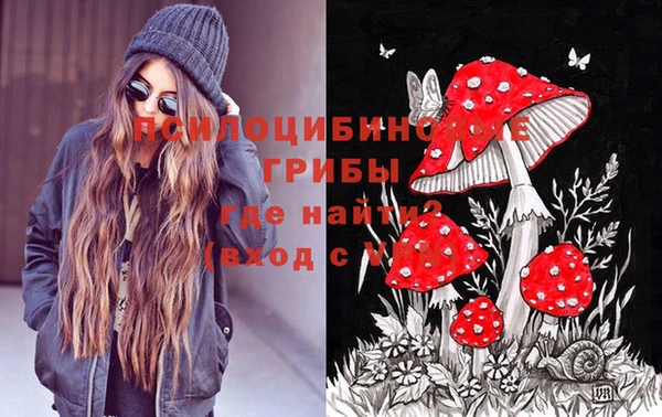 метадон Арсеньев