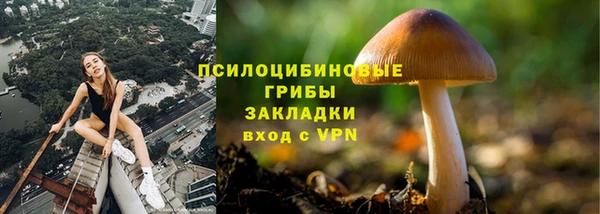 винт Аркадак