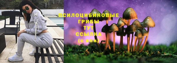 первитин Армянск