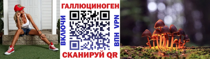 Галлюциногенные грибы Cubensis  Протвино 